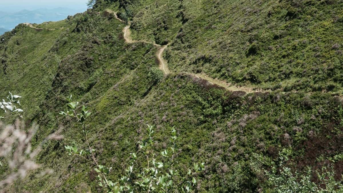 सिंगापुर मेंसहकार्य करनेकेलिए आपकोजाननेवालेटॉप 10 फेसबुक प्रभावशील व्यक्तियाँ