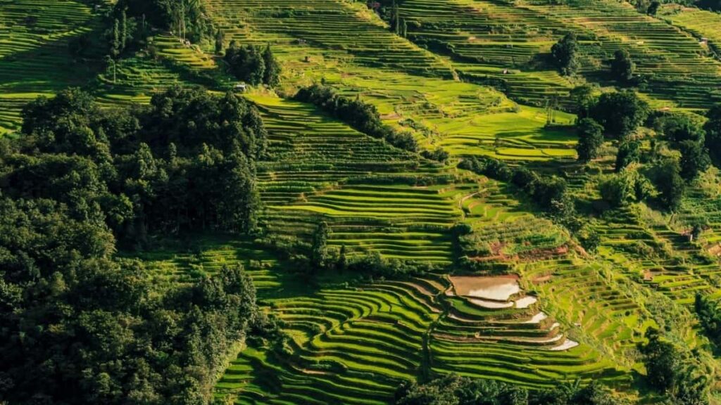 Top 10 Pinterest Influencers You Should Collaborate With in Indonesia