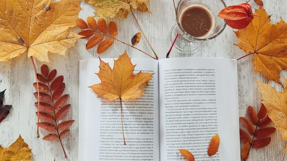 मेक्सिकोमेंसहकार्य करनेवालीटॉप 10 इंस्टाग्राम प्रभावक