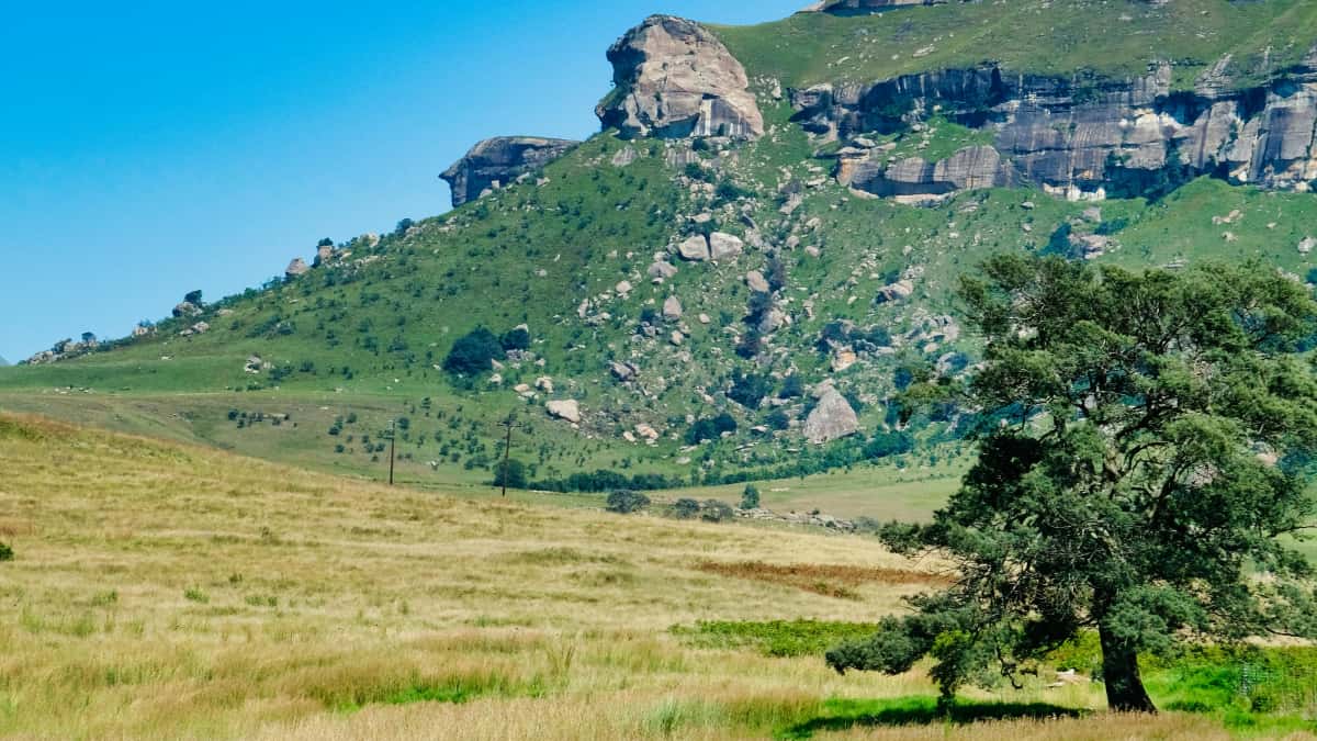 भारत के विज्ञापनदाताओं के लिए: पोर्तुगाल फेसबुक क्रिएटर्स से एल्बम रिएक्शन कैंपेन कैसे करें?