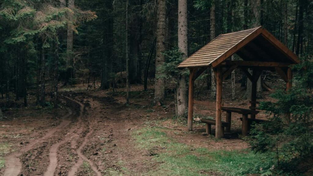 : Malta Bilibili , UGC