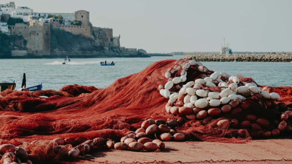 : Etsy Bahrainbased , TamkeenZoho -