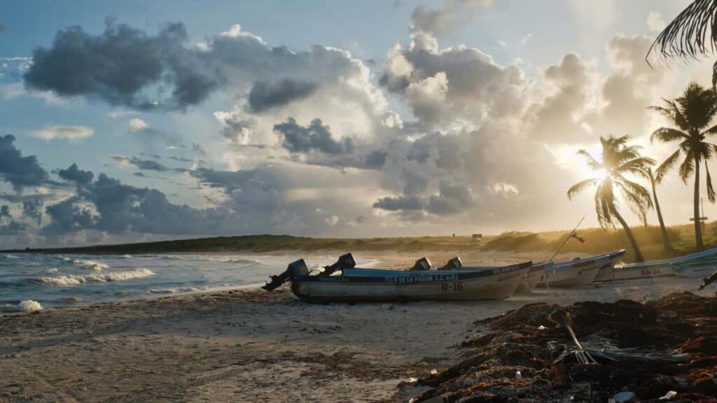 Telegram creatorled , ,