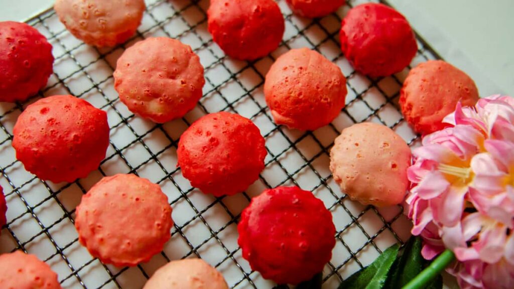 Tunisia Shopee , affiliate sponsorship