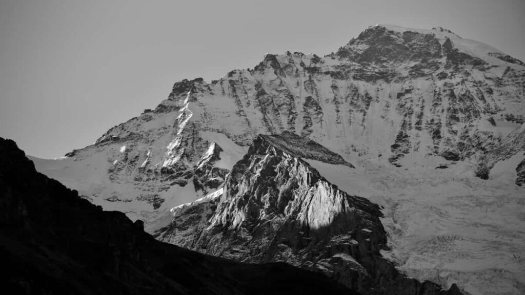 : HBO Max Turkey , ,