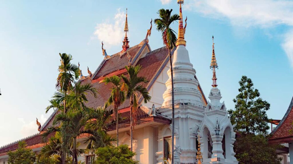 : Netflix- , BTS - -