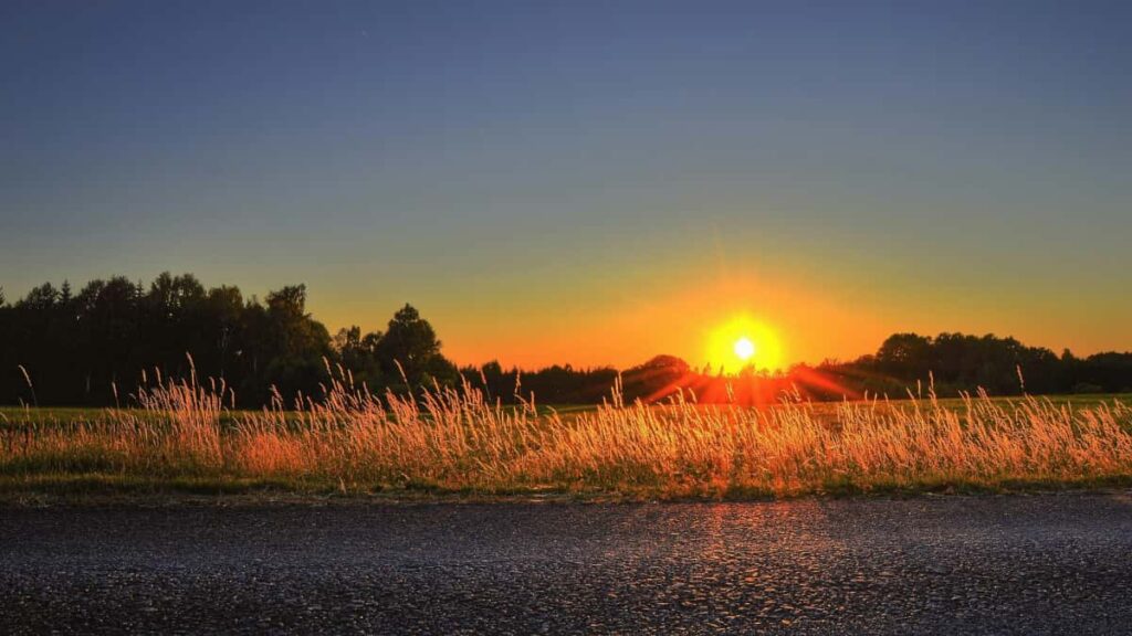 Xiaohongshu Canada localized Chinese-speaking traction , -