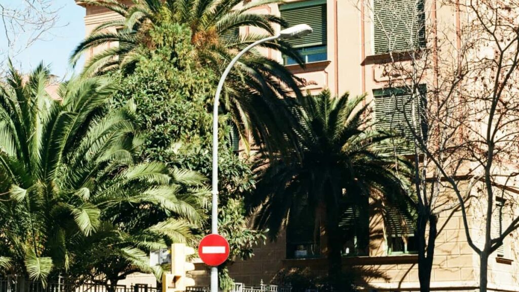 - Bilibili Netherlands , seeding