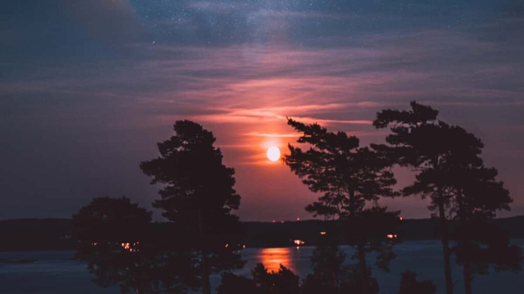 Amazon Philippines , - : Amazon/YouTube