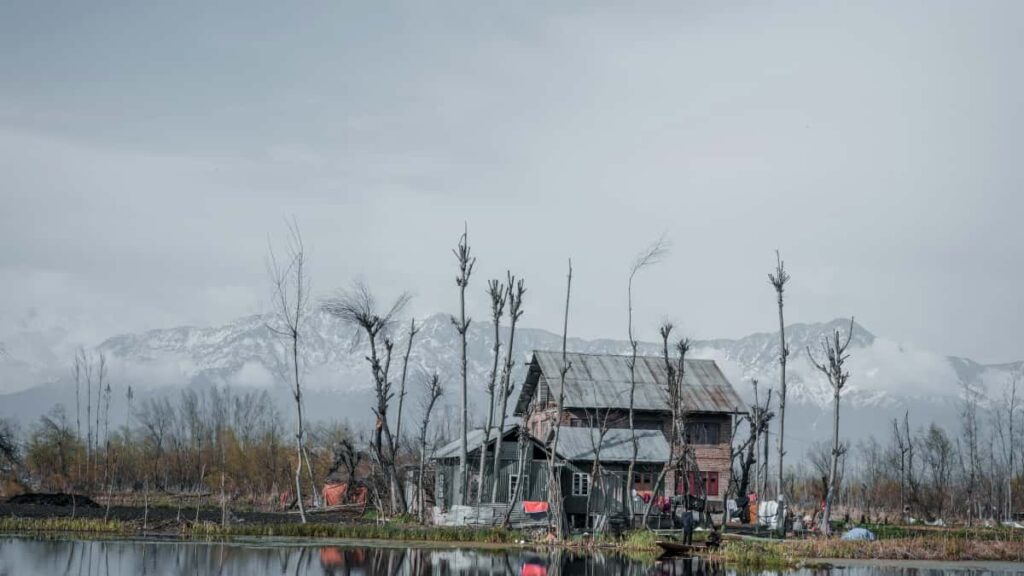 : Latvia Lazada creators , , 2026