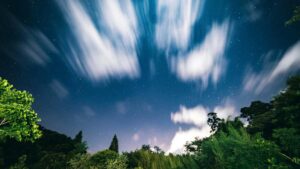 Twitter Iran collaboration , /