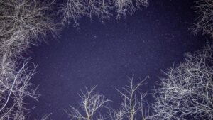 advertisers Netflix- wellness , -